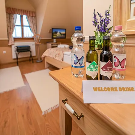 Rigotanya Relax & Wellness Panzio Buekfuerdo Bük