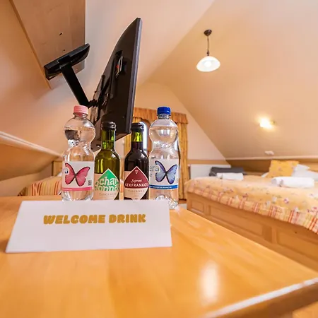 Rigotanya Relax & Wellness Panzio Buekfuerdo Maison d'hôtes Bük