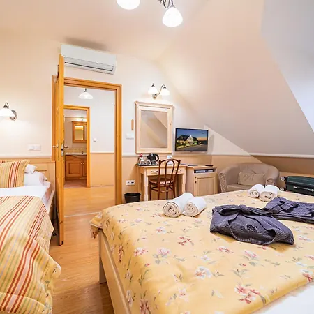 Rigotanya Relax & Wellness Panzio Buekfuerdo Maison d'hôtes 3*