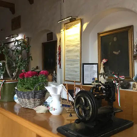 Rigotanya Relax & Wellness Panzio Buekfuerdo 4*