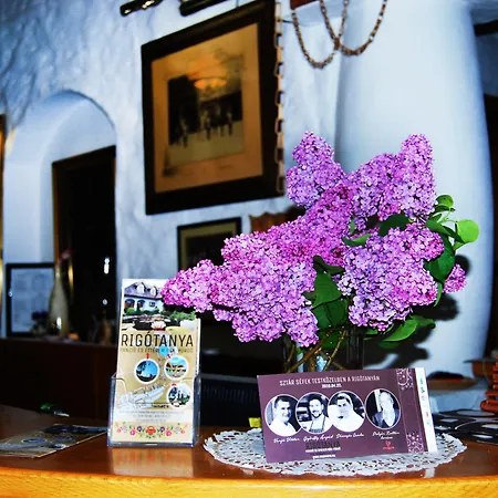 Rigotanya Relax & Wellness Panzio Buekfuerdo Bük