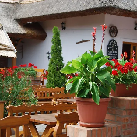 Affittacamere Rigotanya Relax & Wellness Panzio Buekfuerdo 4*