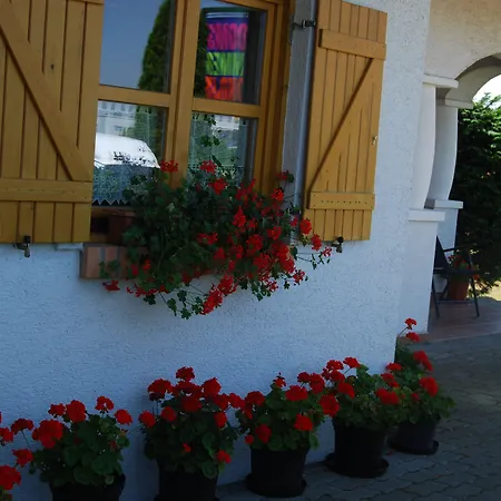 Rigotanya Relax & Wellness Panzio Buekfuerdo 4* Bük