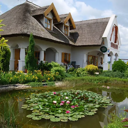 Affittacamere Rigotanya Relax & Wellness Panzio Buekfuerdo Bük